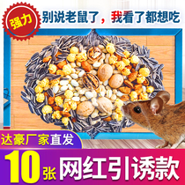 Dachao super strong sticky mouse board big mouse glue household plus bait melon seeds walnut peanut flavor nut diagram
