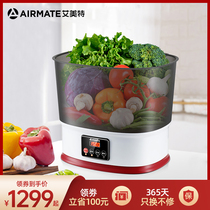 Emmett SX1006 food cleaning machine reactive oxygen species device food purification disinfection and sterilization to retain nutrition