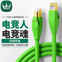10000 class eight 10 gigabit network cable Home e-sports ultra-high-speed Cat8 Gigabit network Broadband Router 2 computers 5 meters