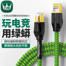 10 gigabit green Anaconda game king line Home computer router High-speed network cable Super seven network cable jumper