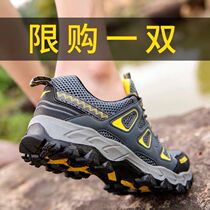 Summer Outdoor Shoes Breathable Mens Shoes Sneakers Dad Shoes Hiking Shoes Net Face Climbing Tourist Shoes Non-slip Climbing Shoes