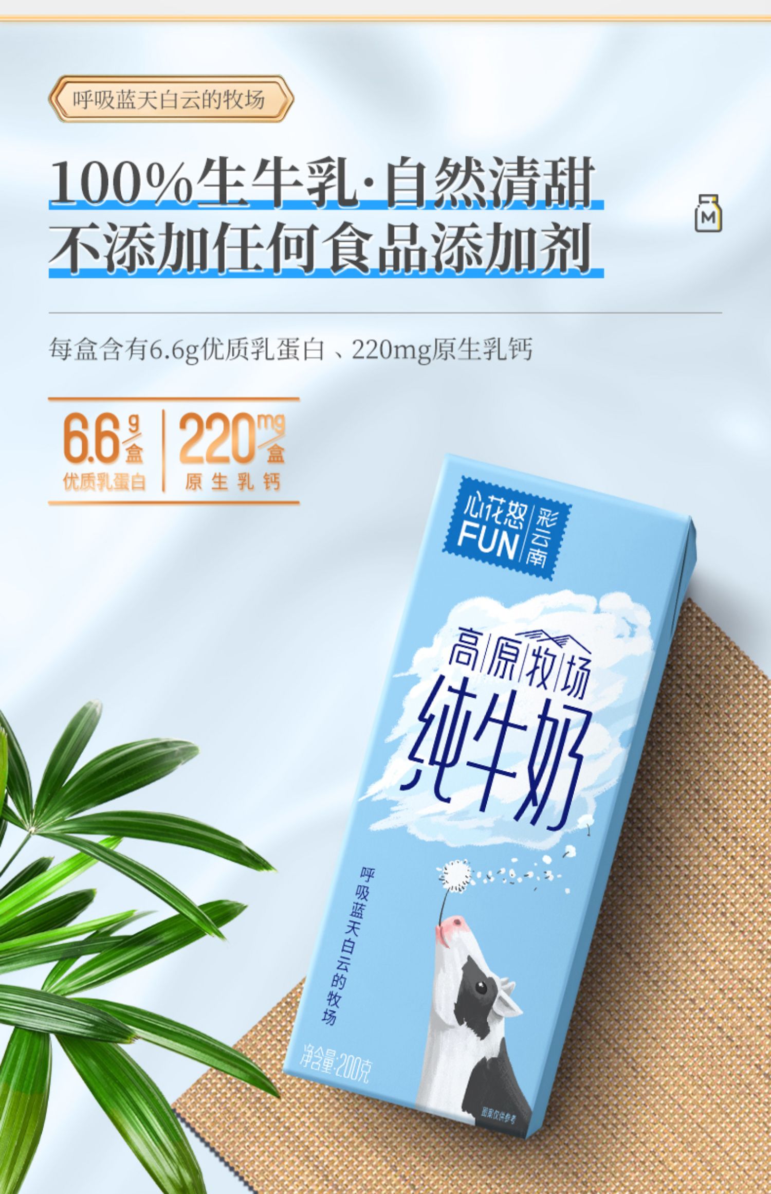 心花怒FUN高原奶纯牛奶200g*12盒*2箱