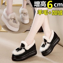 Moose shoes women winter 2021 New plus velvet cotton shoes thick bottom cake shoes a pedal outside wearing Bean shoes