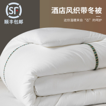 Winter quilt Dormitory Single Students Quilt by Core Four Seasons General quilted cotton wool Single cotton quilted with thickened warm spring and autumn quilt