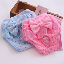 Dog physiological pants Little bitch estrus Teddy pet menstrual bitch aunt towel male dog safety pants panties female