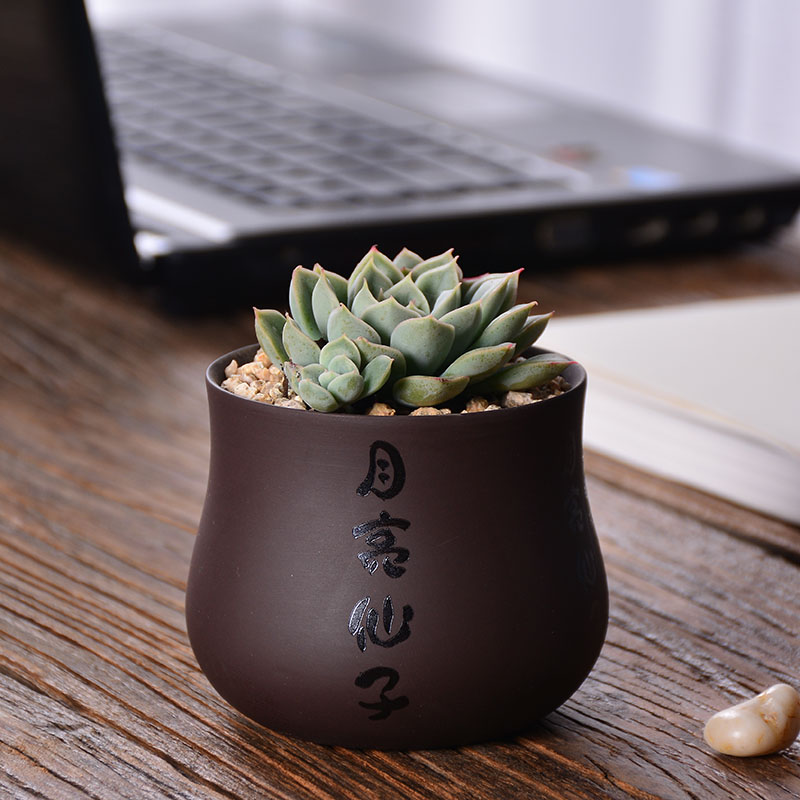 Purple sand flowerpot LOGO custom creative small household desktop potted meat more move asparagus special pot the plants