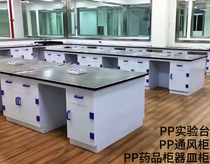 PP laboratory test room PP fume hood PP medicine cabinet Cabinet laboratory bench bench customization