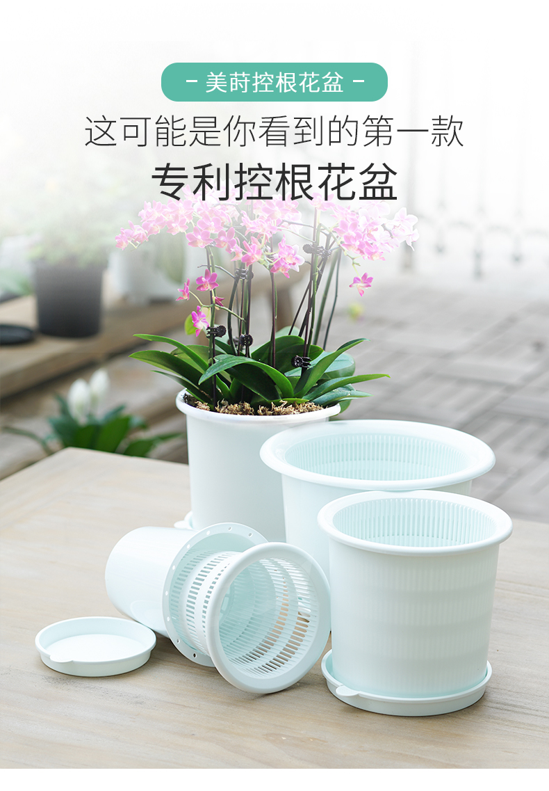 美莳蝴蝶兰盆专用控根花盆通风透气石斛兰蝴蝶兰盆