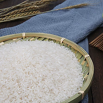 米凯五常大米农家新米长粒香米稻花香米10斤[10元优惠券]-寻折猪