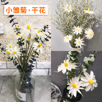Wenxin orchid dried flower bouquet hipster living room home decoration ornaments eternal flower shooting props small daisy