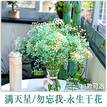 Gypsophila dried flowers real flowers ins Wind Nordic home Net red hipster Bouquet decoration ornaments bedroom forget-me-not