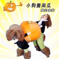 Net Red Dog thickened warm four-legged pumpkin clothes autumn and winter cute dog clothes trend brand anti-funny clothes