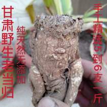 Angelica Gansu natural sulfur-free selected premium wild old angelica can be sliced and ground 500g