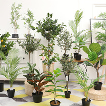 Taihuan Nordic simulation plant potted desktop small ornaments scattered tail Kwai Qin Ye Banyan Home B & B office decoration