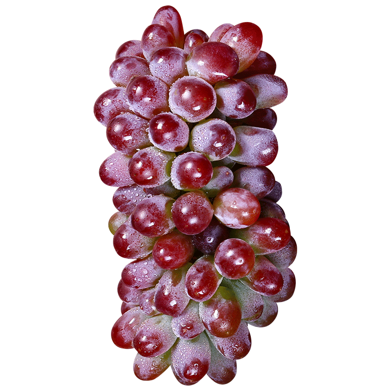 茉莉香提子薄皮无籽净重3斤真空发货