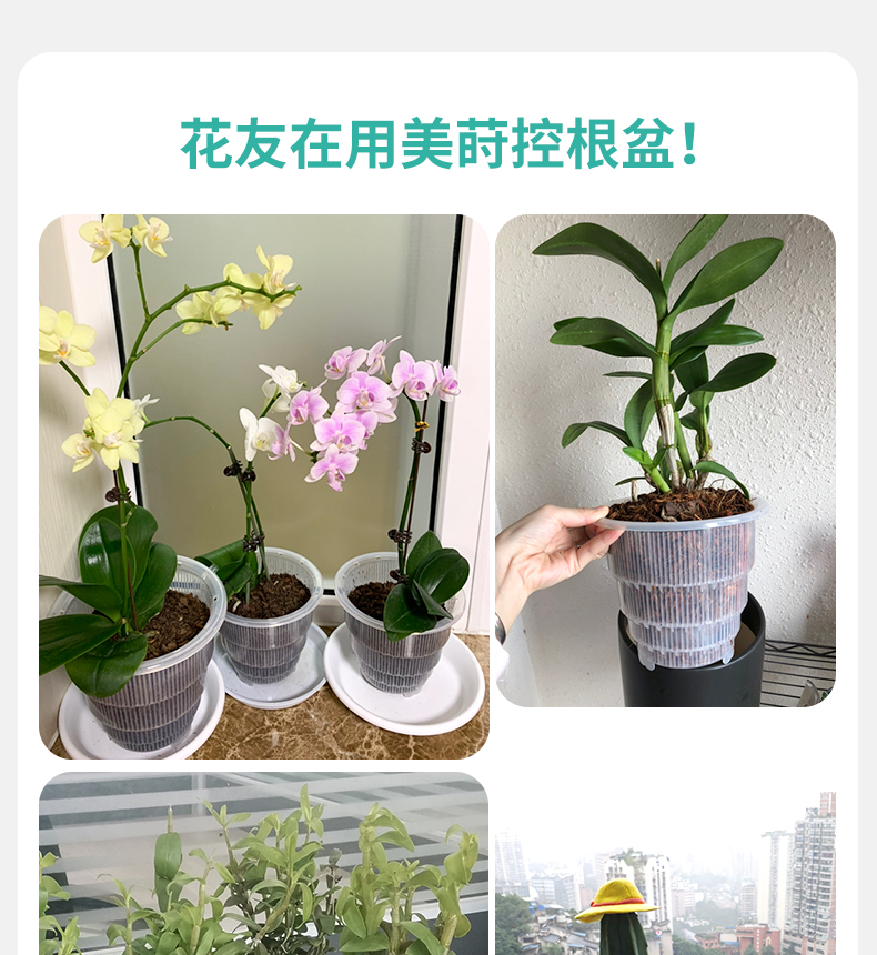 养蝴蝶兰专用控根花盆栽种大口径透明透气塑料杯网镂空盆