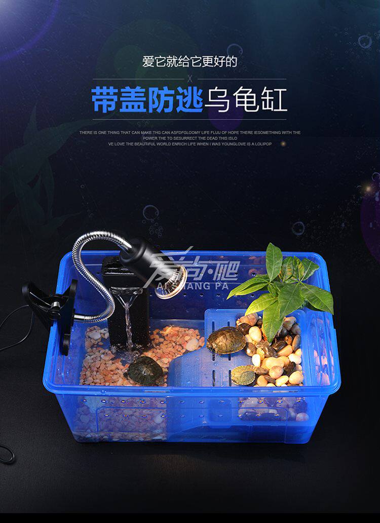 六角恐龙专用缸鱼缸水族箱玻璃客厅大型家用特大乌龟缸角蛙饲养箱