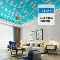 Blue sky and white clouds ceiling living room bedroom self-adhesive waterproof stickers childrens room environmental protection 3d three-dimensional wall stickers background wall