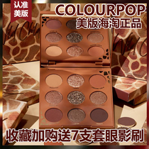 Colourpop Colorpop New Cold Child Giraffe Dial Chocolate
