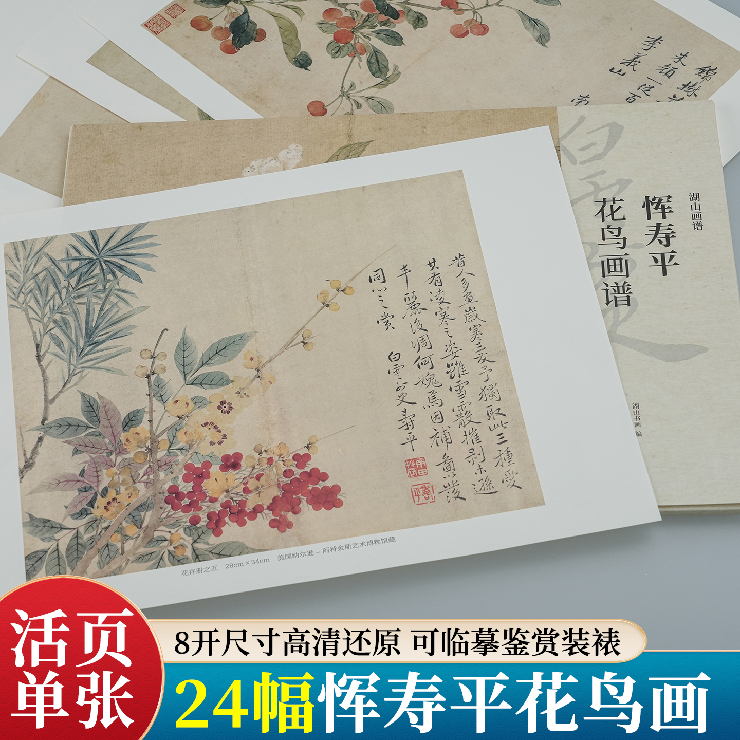 恽寿平花鸟画谱大8开单片高清印刷可临摹可装饰历代名家册页精选