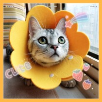 Sun Flower Elizabeth Circle Cat Imi Scarf Collar EVA sponge Light headgear Anti-lick anti-bite Shame Ring