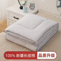 Single quilt pure cotton quilt Xinjiang long-pile quilt quilt core cotton wool student dormitory winter thick cover quilt