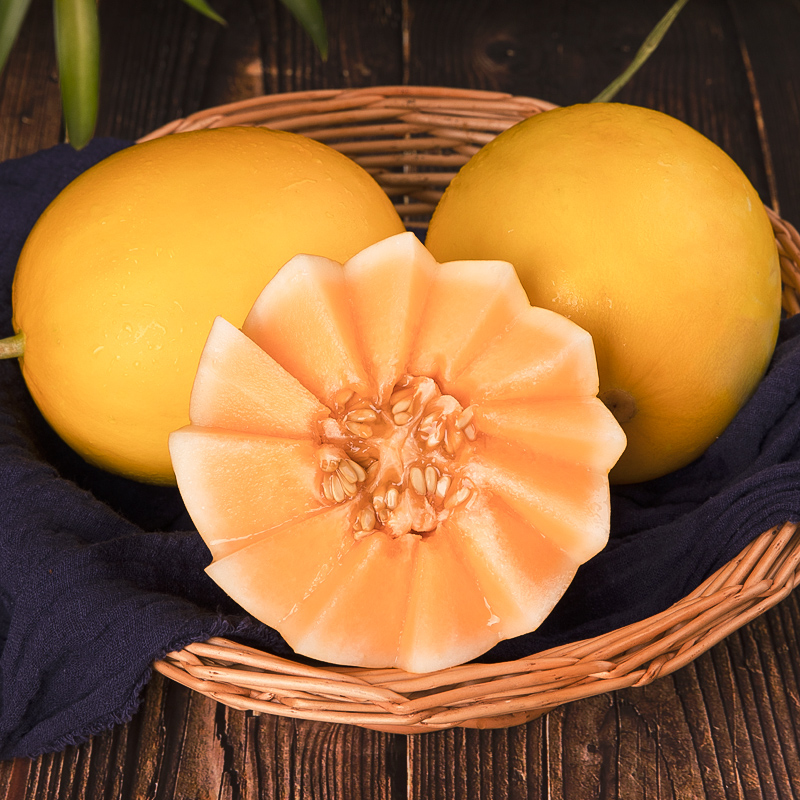 【超级甜】倔老汉黄金哈密瓜5斤