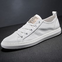 Pada wordy head layer cowhide explosive white casual board shoes YPCX056