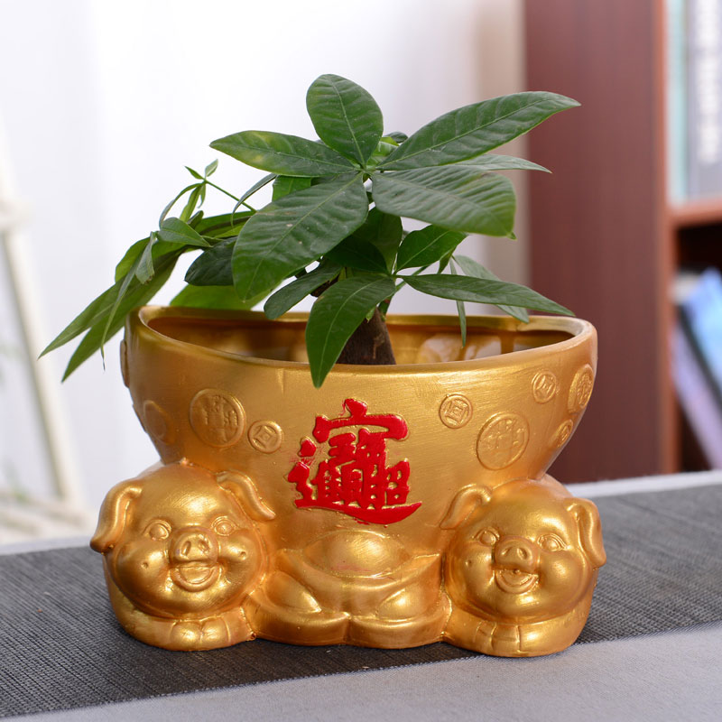 Restoring ancient ways is rich pig ceramic flower pot rich banyan tree European flower implement move flowerpot lucky auspicious pig and flower POTS