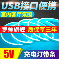 led flexible light strip rechargeable usb battery box power supply low voltage 5v neon silicone soft light strip