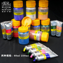Windsor Newton Gallery Acrylic Pigment Art Students Special Set Non-fading Waterproof Small Boxed Solid Gold Painting Children Non-toxic White diy Hand Painting Shoes Wall Painting Special Large Barrel