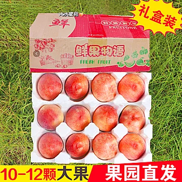 【现摘现发】山西水蜜桃5斤大果（10-12个）[10元优惠券]-寻折猪