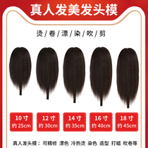 Head mold real hair Full real hair apprentice hair cut doll head dummy head mold bracket can be hot and dyed hair model head