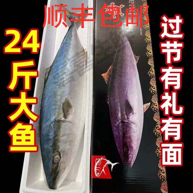 (SF) 22-24 kg of large fish gold cockfish domestic cabbage fish large fish large fish gold cocky