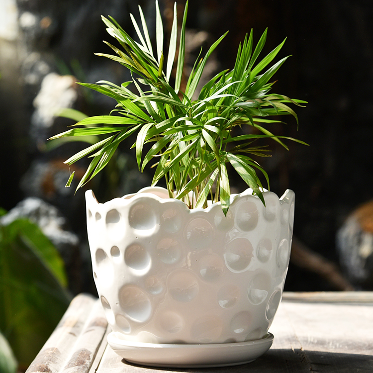 Flowerpot ceramic contracted white ribbon tray was money plant bracketplant Flowerpot more meat flower pot in large indoor household flower pot