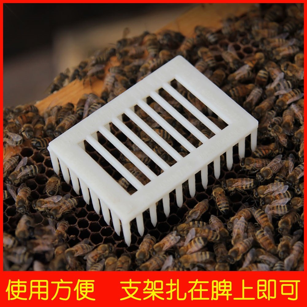 储王器蜂具针式蜂王笼关王龙囚王笼锁蜂王储王盒皇笼中蜂意蜂养蜜
