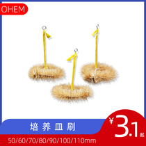 (OHEM) Petri dish brush 50 60 70 80 90 100 110mm pig hair material chemical laboratory instrument consumables