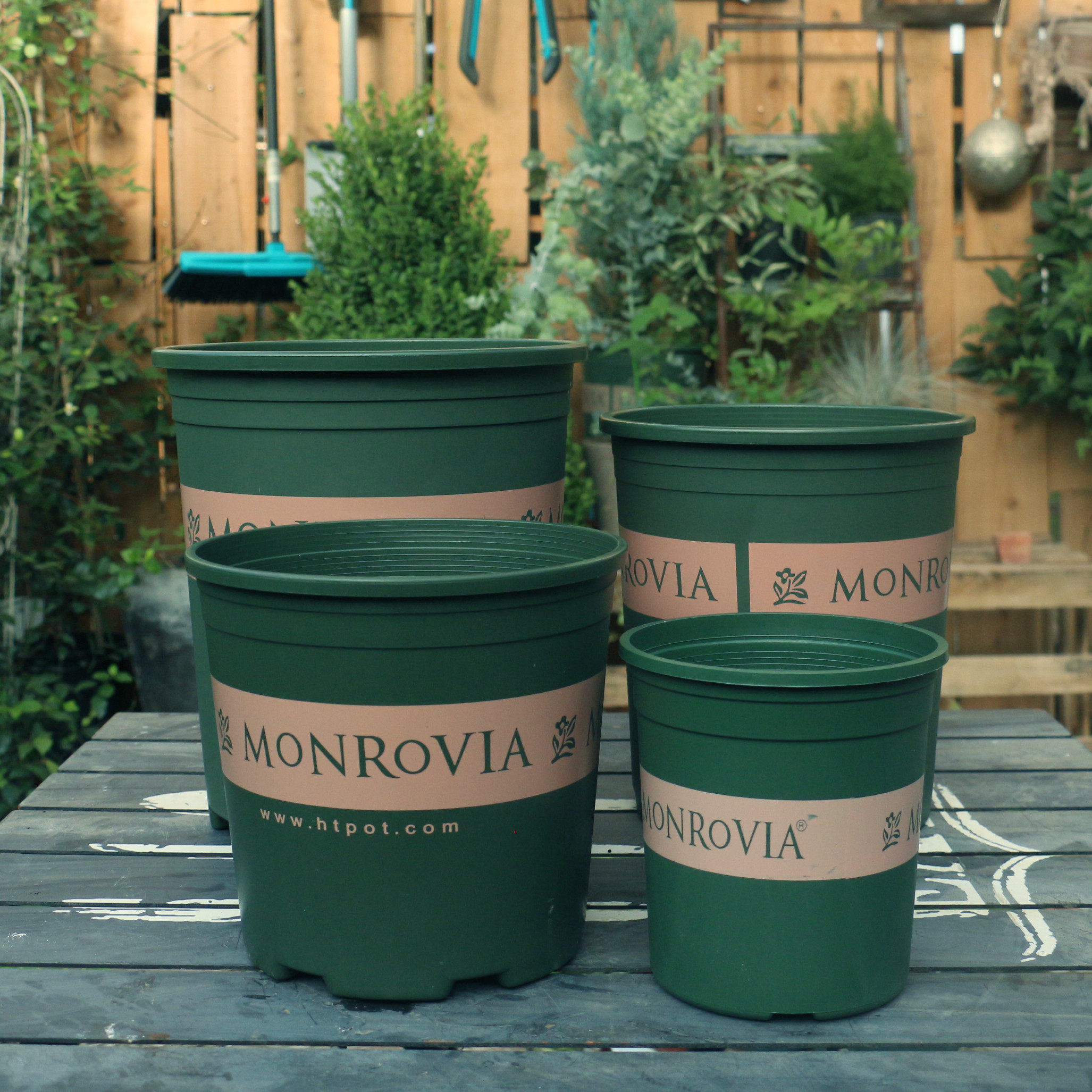 种花王大爷环球加仑盆阳台盆栽绿植塑料盆(热品库)