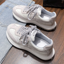 Waff Agan Shoes 2022 New Spring and Autumn in Hundred Sports Casual Daddy Shoes Fall Skies