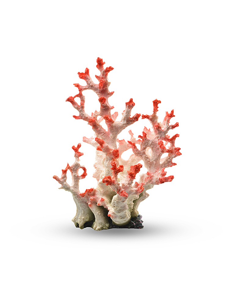 Fish Tank Simulation Coral Landscaping Decorations Coralite Base Package Interior Set Aquarium Small Ornaments Finished Product