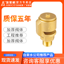 Emeco vacuum suction valve 4 points brass suction valve 6 points anti-negative pressure valve dn15dn20 threaded outer wire dn25
