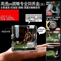 Jumping spider Acrylic spider Climbing pet insect High permeability feeding box Small non-catching landscaping box Florida insect