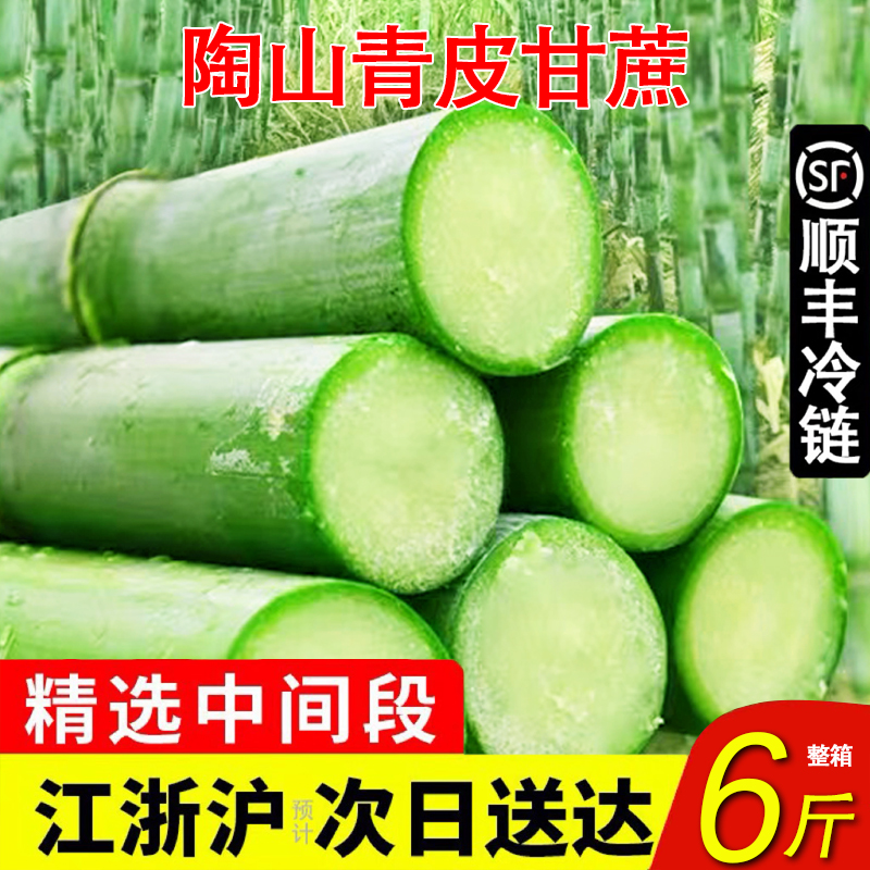 Shun Feng Tao Shan Cane Green Leather Green Leather Sugarcane Pregnant Woman Fresh Fruit Should Season Fruit Cane Now Chop 6 Catchy Sweet Cane-Taobao