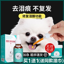 Taiwan Telate Lacrimal Fluid Dogs Remove Tear Glands Mark Oral Essence Pet God more than a Kumambomei kitty