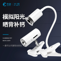 Turtle sun back light Heating insulation climbing pet full spectrum heating lamp sterilization uva UVB sun light bulb Tortoise