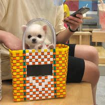 Small dog small body dog out bag dog bag carrying case Summer backpack shoulder cat bag summer breathable shoulder bag