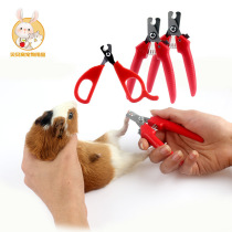 Pet supplies Cat Golden retriever dog Rabbit Nail clipper Dutch pig lop rabbit with nail clipper knife trumpet