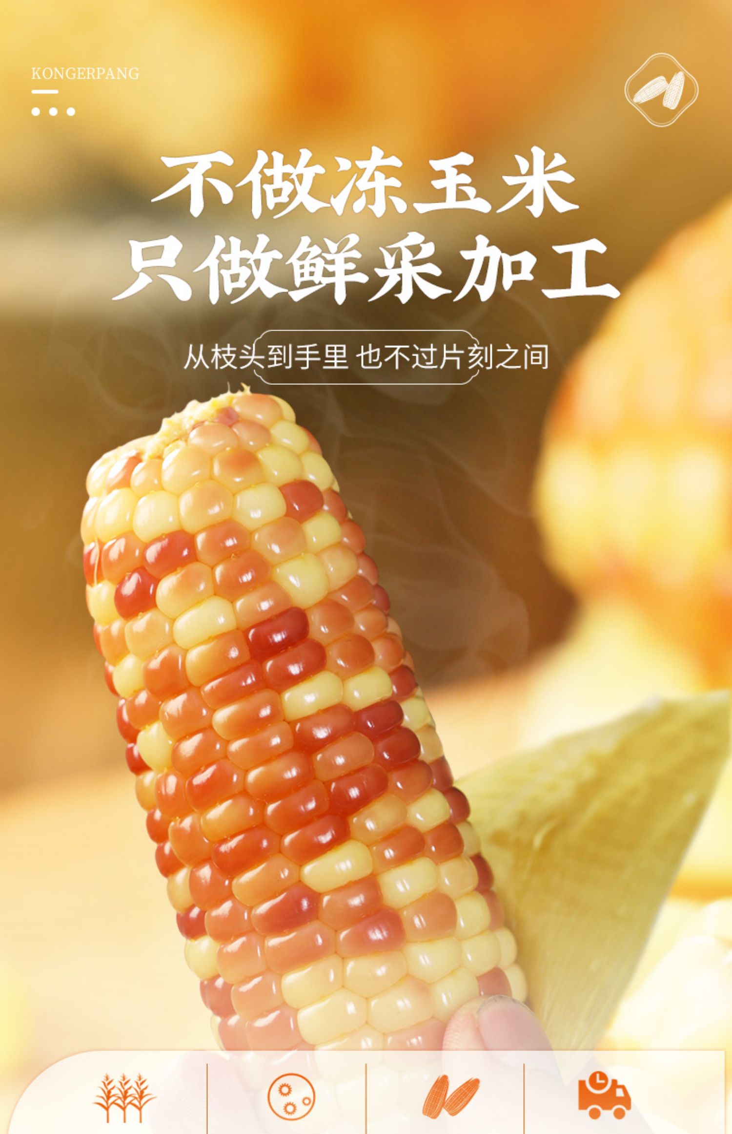 云南西双版纳香糯小玉米500g
