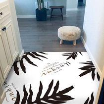 Nordic home doormat Floor mat Door entrance floor mat can be cut carpet into the door Net red household customization can be washed