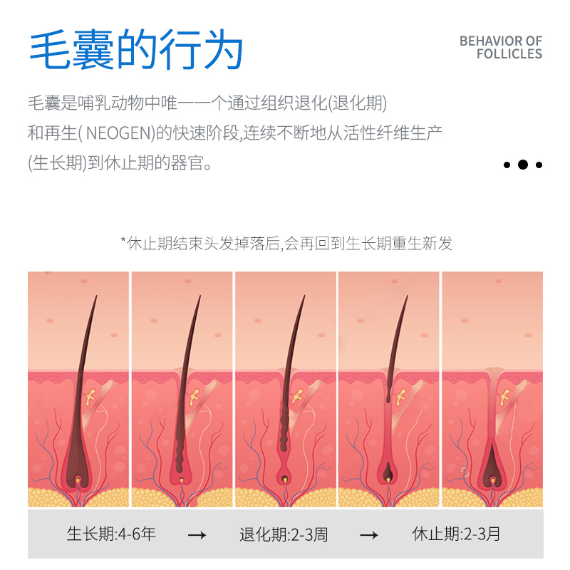 nourkrin british imported female hair growth nutrition tablets for a course of 6 boxes of hair growth and anti-hair loss hair care